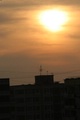 img_1521.jpg