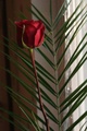img_1547.jpg